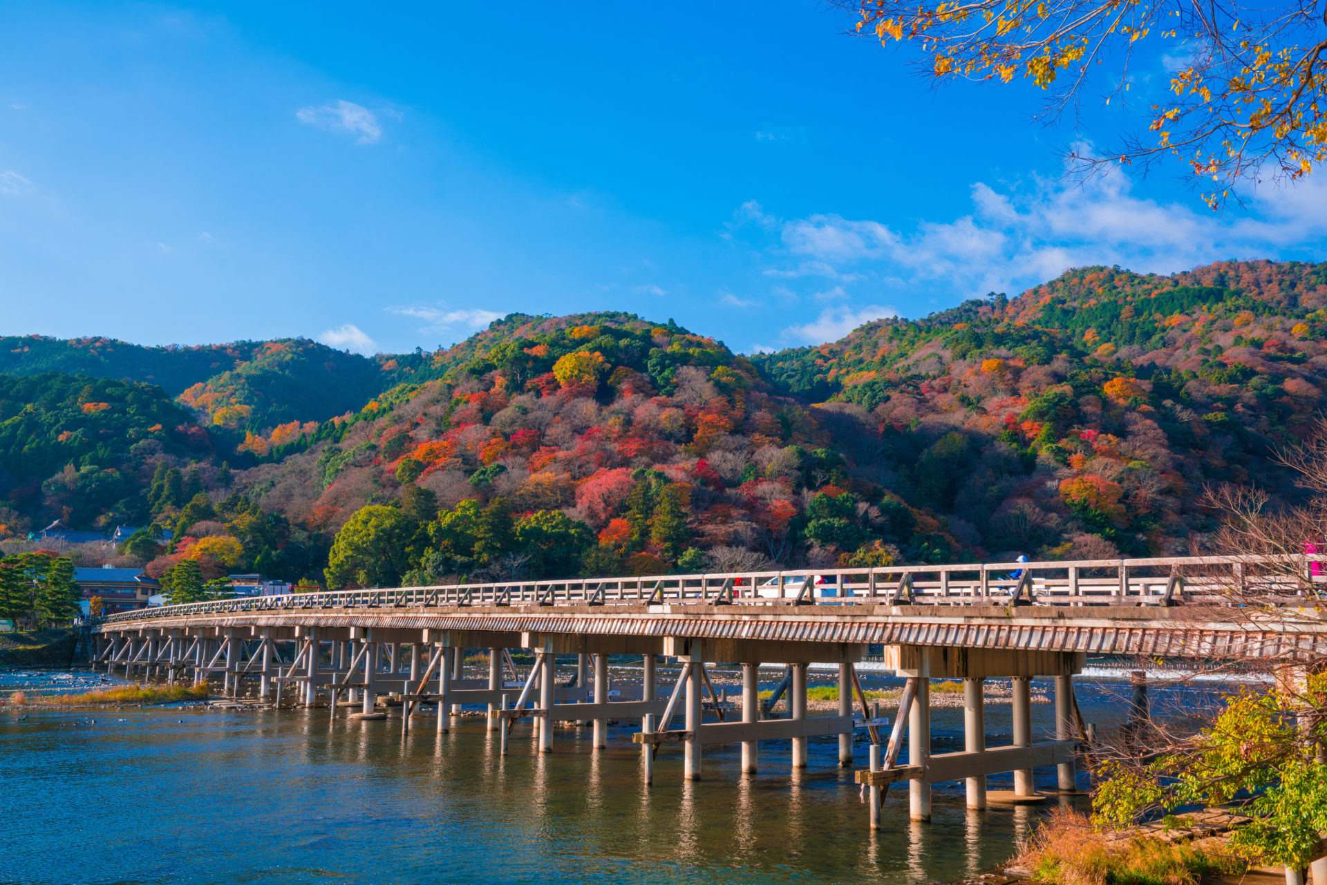 京都　嵐山の紅葉　
